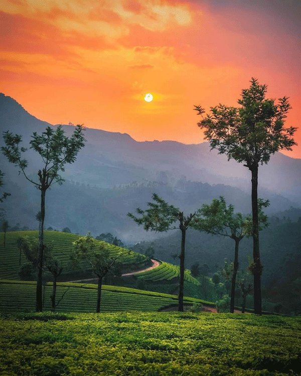 تور هند نوروز ۱۴۰۵