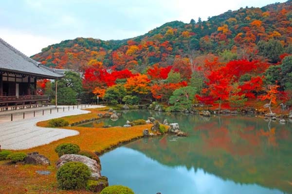 باغ ژاپنی تنریو جی در کیوتو ژاپن