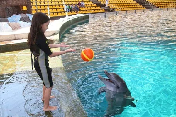 بهترین زمان بازدید از پارک دلفین کیش 