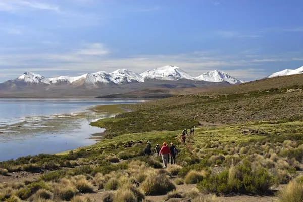 پارک ملی لوکا؛ از زیبایی‌های طبیعی کشور شیلی
