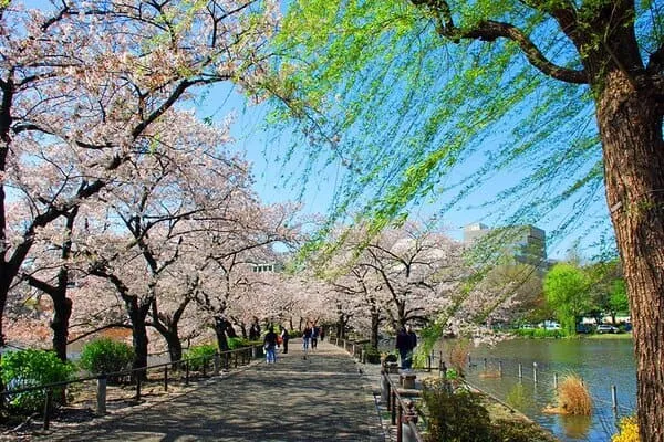  طبیعت پارک اوئنو در توکیو ژاپن