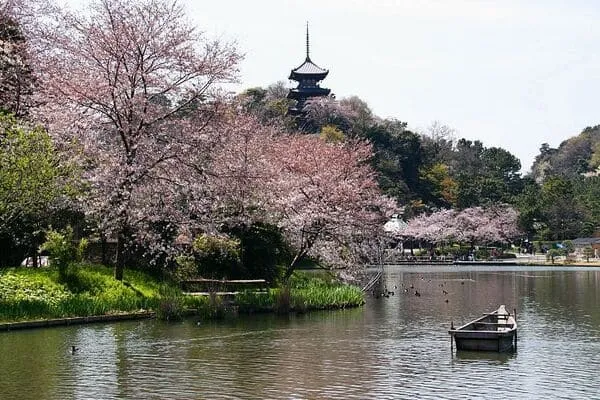 باغ  Sankeien در یوکوهاما ژآپن