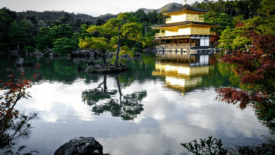 معبد طلایی در کیوتو