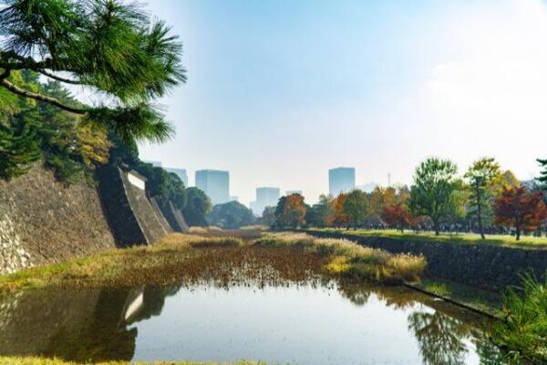 پارک چیدوریگافوچی در کاخ امپراطوری ژاپن