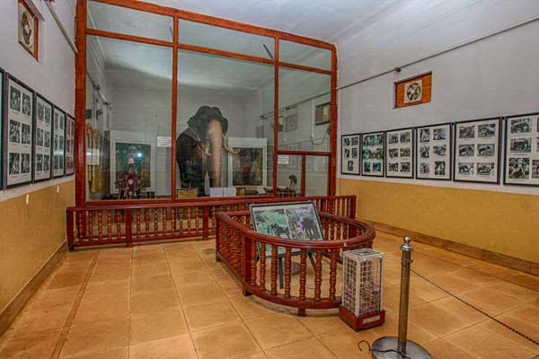 موزه فیل راجا 