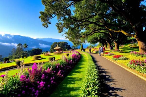 بهترین زمان برای بازدید از باغ هاکگالا