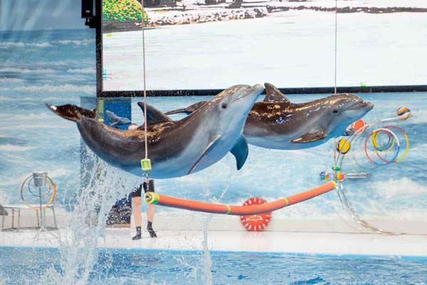 جاهای دیدنی دبی در زمستان