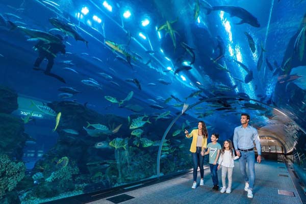 sights of dubai in winter