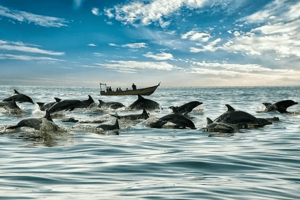 جاهای دیدنی قشم