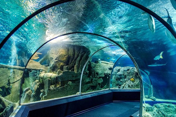 Discovery World Sochi Aquarium
