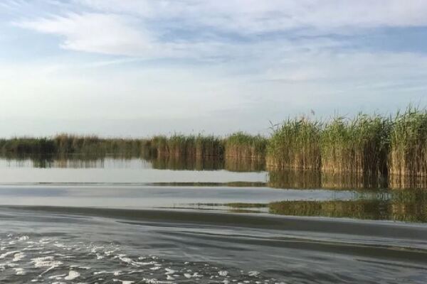 تالاب بامدژ در شهر اهواز